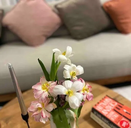 Mozart House - Spacious Luxury - Heart Of The Lägenhet *