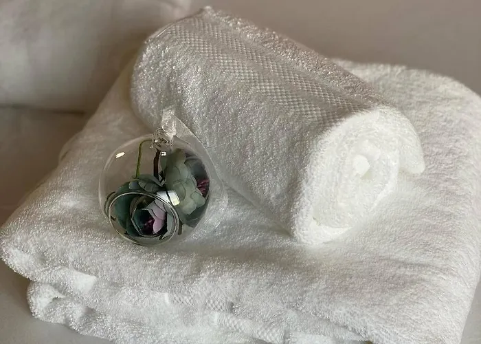 Lägenhet Mozart House - Spacious Luxury - Heart Of The Tirana